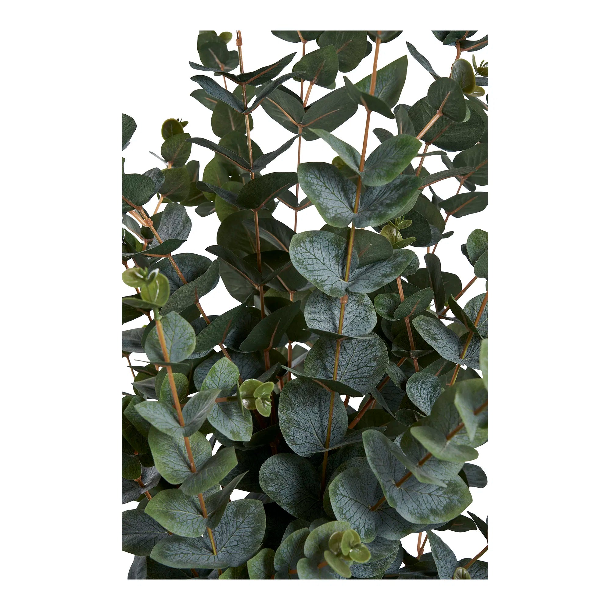 Kunstpflanze Eukalyptus – 120 cm eleganter Blattschmuck für dein Zuhause