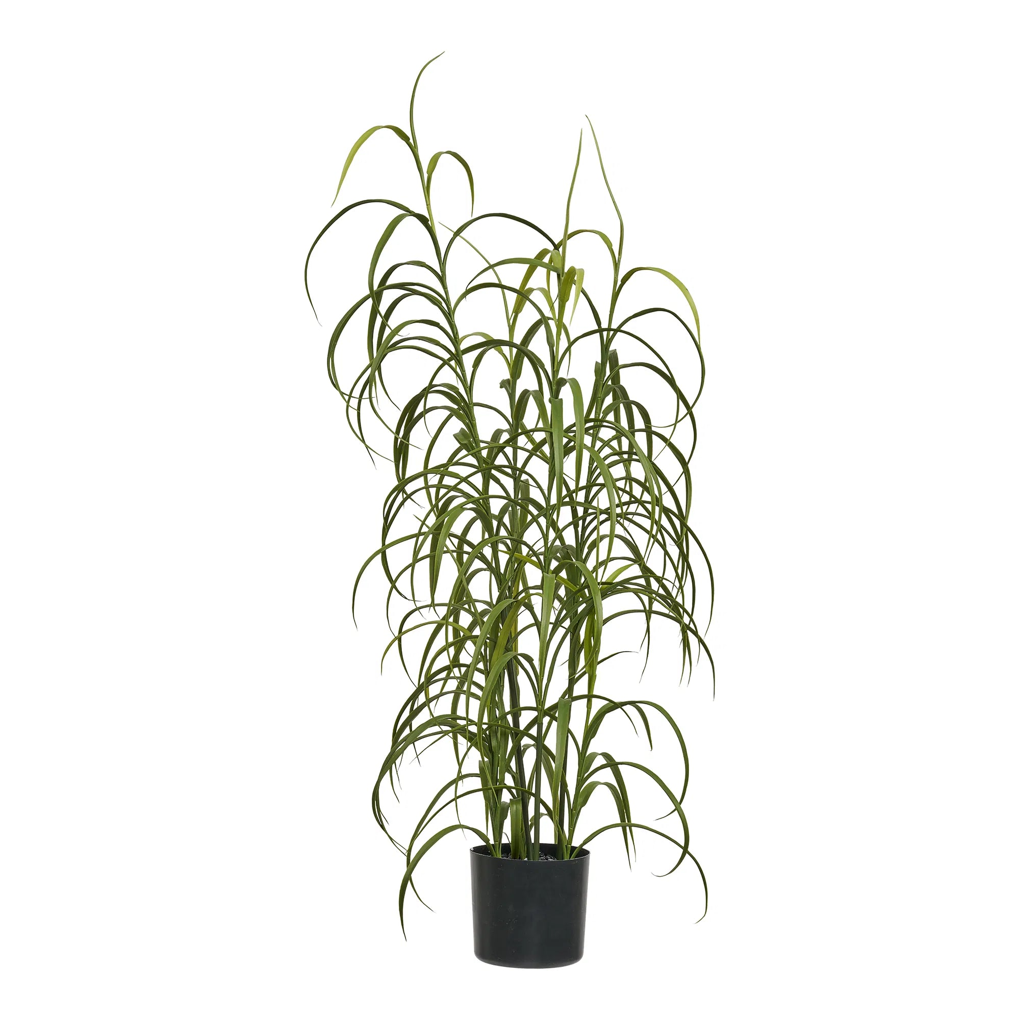 Deko Pflanze Kjellora - für den Garten