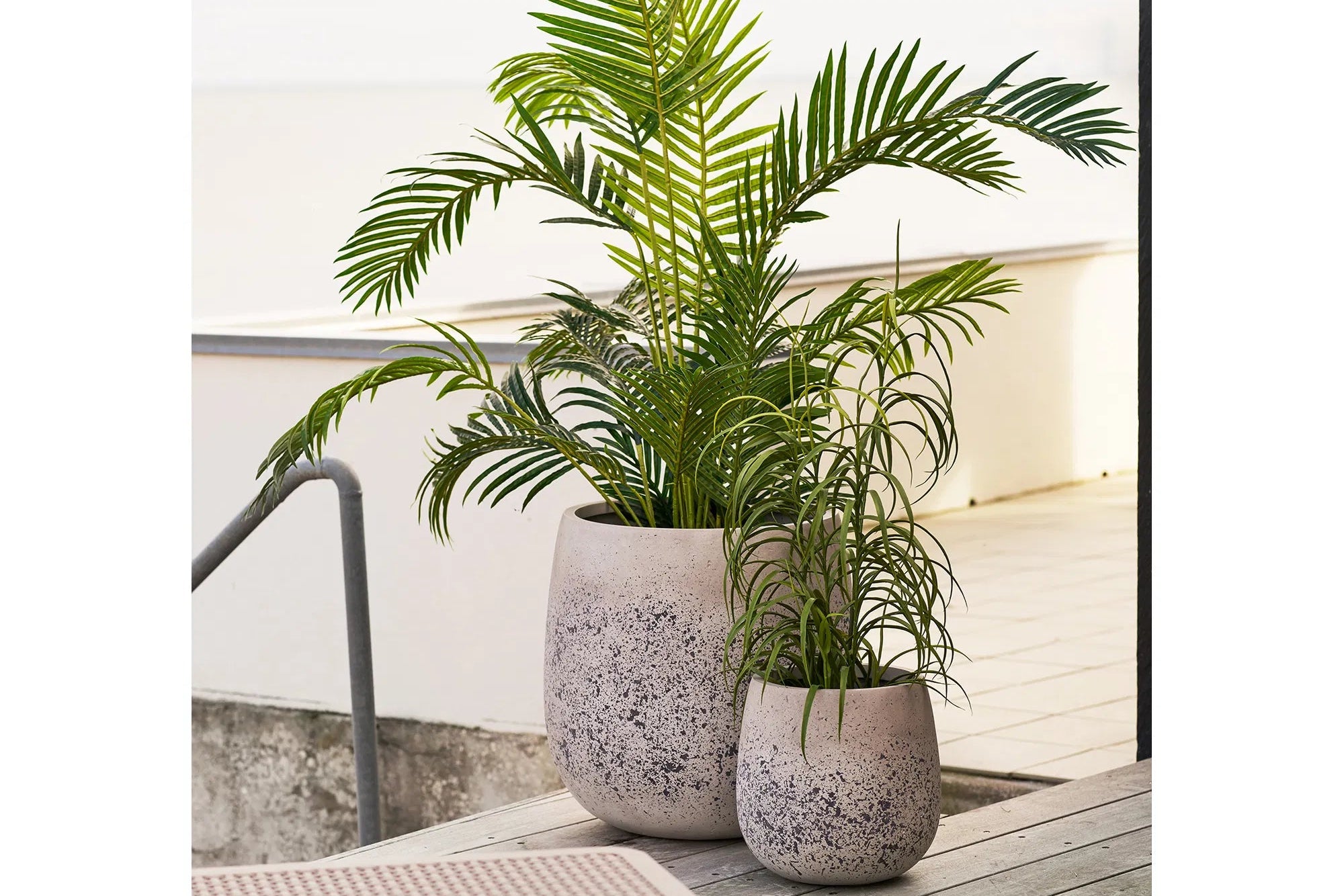 Deko Pflanze Kjellora - für den Garten