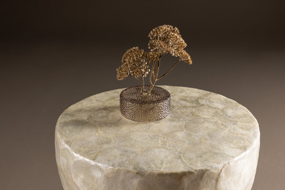 Couchtisch/Beistelltisch Marona - mit elegantem Finish