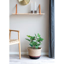 Kunstpflanze Feigenbaum – 60 cm mediterraner Charme für dein Zuhause